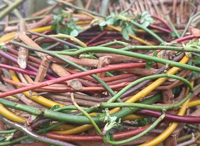 Creative Easter at Heysham Nature Reserve