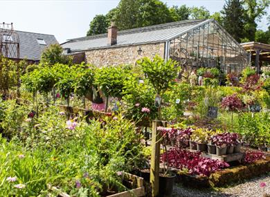 Artisan Market at Holden Clough