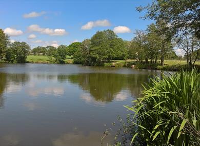 The Horns Dam Fishery