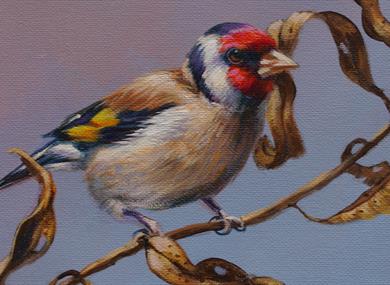 How to Paint Birds with Graham Lowe