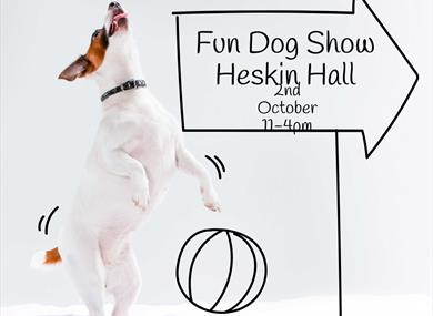 Fun Dog Show Heskin Hall