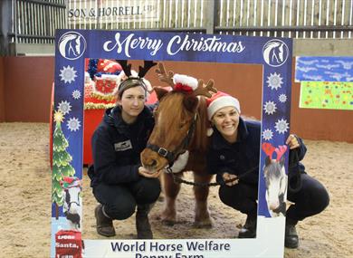 Christmas Fair