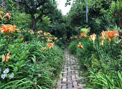 Orchard Tea Garden at The Ridges