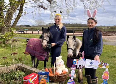 Easter Eggstravaganza