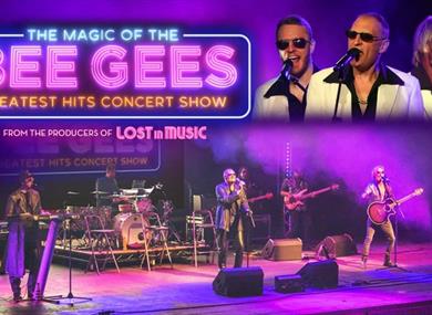 The Magic of the Bee Gees