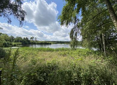 Mere Sands Wood Nature Reserve 