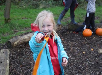 Wild Magic at Mere Sands Wood