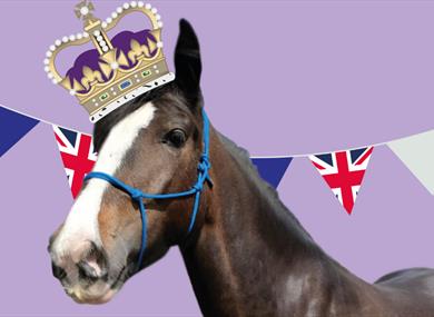 Jubilee Half-Term at HAPPA