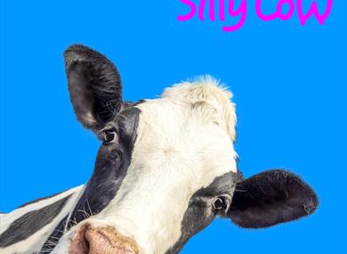 KATIE HOPKINS 'SILLY COW'