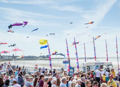 Catch The Wind Kite Festival