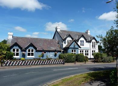 Artisan Food & Drink  Market