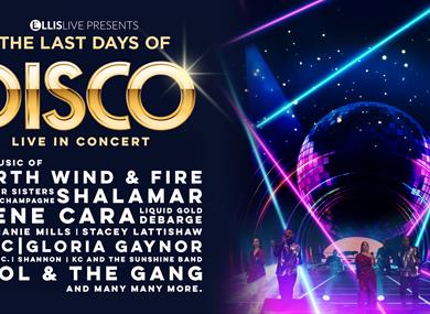The Last Days of Discoc