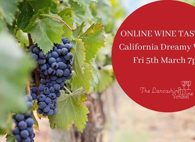 California Dreamy Wine (Online tasting)