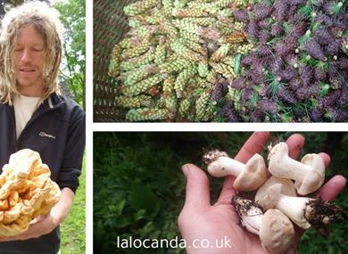 Lancashire Foraging Experience and Exclusive Dinner