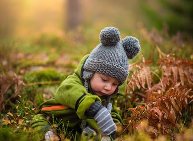 Little Saplings Taster