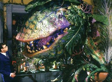 The Little Shop of Horrors