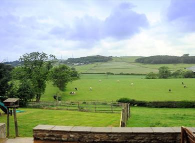 Lodge View Cottages