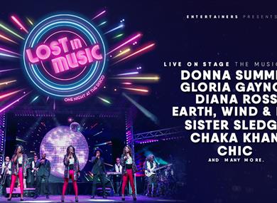 Lost In Music: One Night At The Disco
