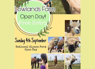 Lowlands Farm Open Day