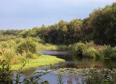 Talk Lancashires Wild Place at Mere Sands Wood