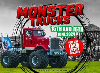 Monster Trucks