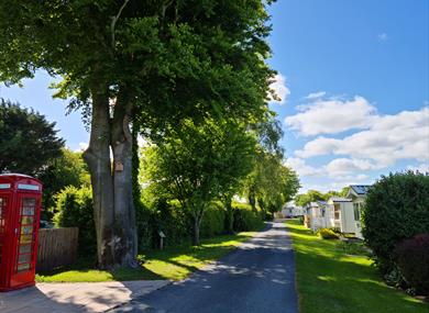 Moss Wood Caravan Park