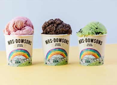 The famous Mrs Dowsons Ice cream, served in multicoloured sprinkled cone.