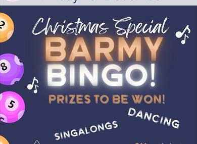 Barmy bingo Chirstmas special