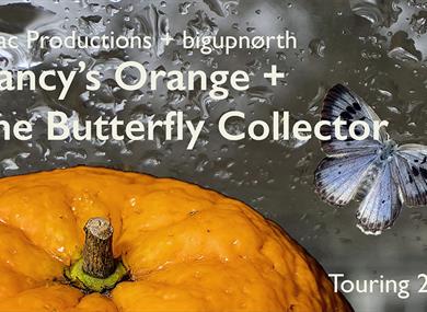 Nancy's Orange + The Butterfly Collector - Cherry Tree Library