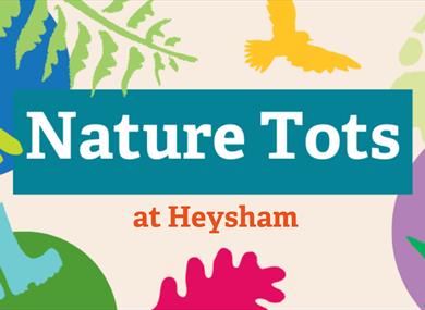 Nature Tots at Heysham Nature Reserve