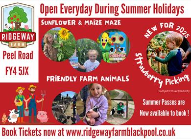 Blackpool Biggest Maize Maze
