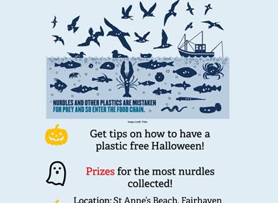 The Great Nurdle Hunt 2021: The Horrors of Plastic