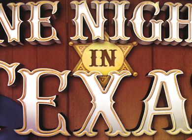 One Night in Texas