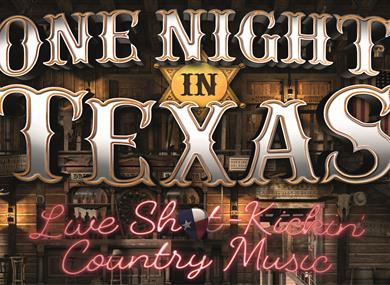 One Night in Texas