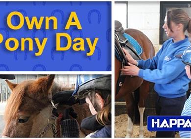 Own A Pony Day
