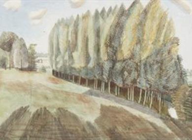 The Poetry of Trees