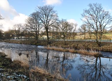 Credit Bowland Walks