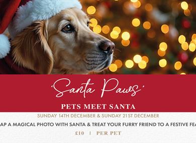 'Santa Paws' - Pets Meet Santa at Holland Hall