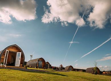 The pods bathed in sunshine.