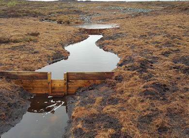 Wooden peat dam on Abbeystead_Forest of Bowland AONB