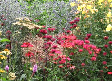 Gander around the Gardens with the Garden
