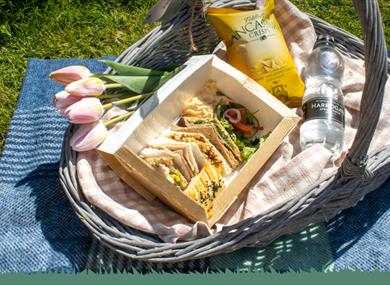 A Picnic on the Tolkien Trail
