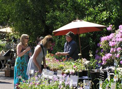 Spring Plant Hunters' Fair at Hoghton Tower