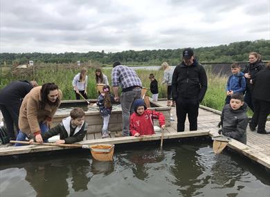 Pond Dipping