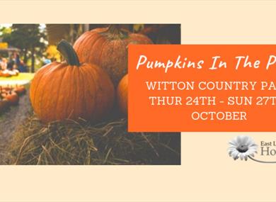 Pumpkins in the Park