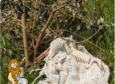 Explore Textiles Week - Prehistoric
