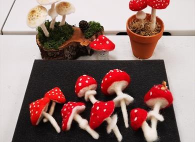 Needle Felting Workshop - Toadstools