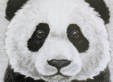 An Introduction to 2D Needle Felting