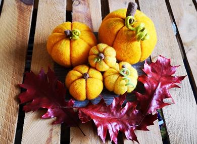 Autumn Pumpkins Needle Felting Workshop