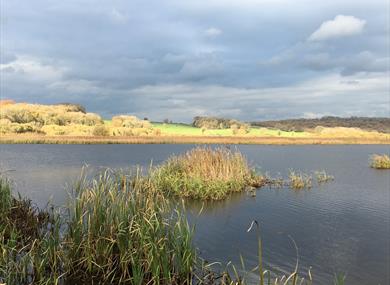 Meander on the Moss guided walk